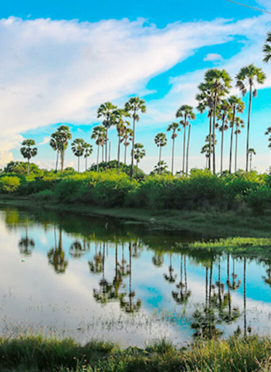 Jaffna Jaffna