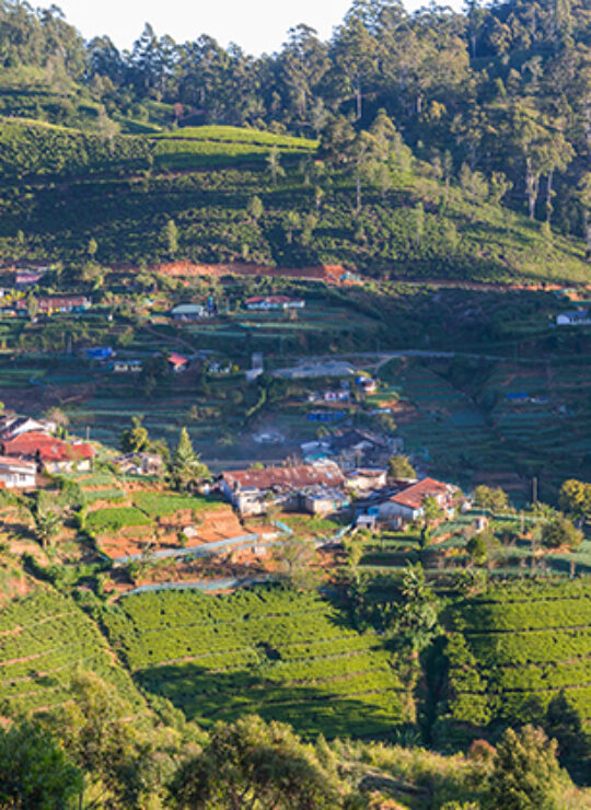 Nuwara Eliya Nuwara Eliya
