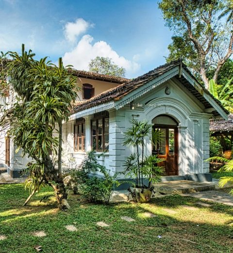 Wings of Wonder: Birdwatching in Sri Lanka